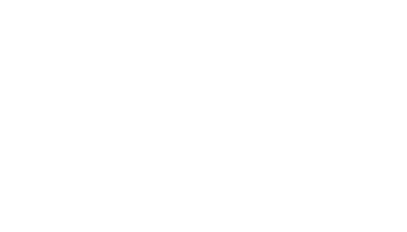 L’Aubette Shopping